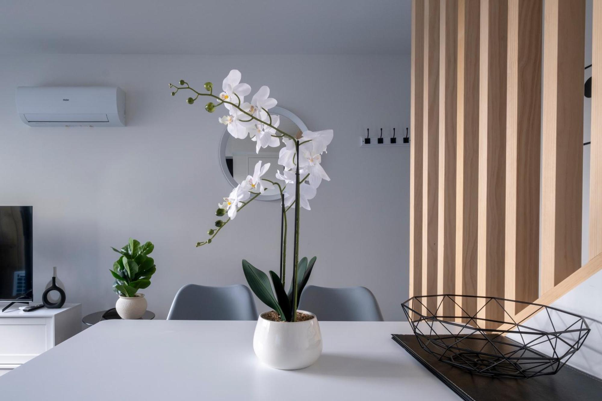 Luxury 2 Bed Townhome In Cbd 基督城 外观 照片