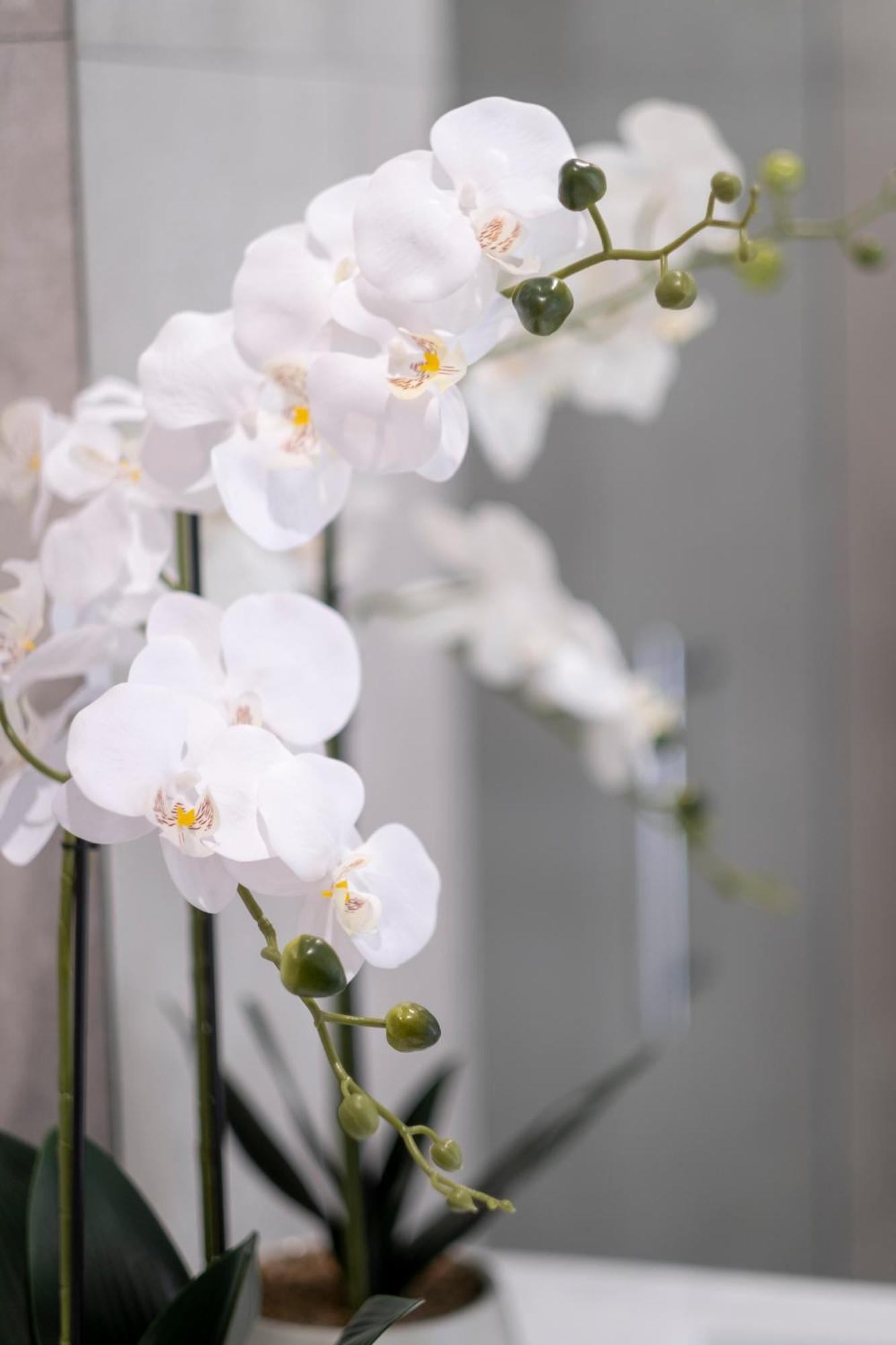 Luxury 2 Bed Townhome In Cbd 基督城 外观 照片